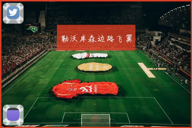 勒沃库森边路飞翼