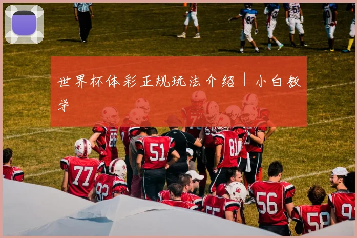 世界杯体彩正规玩法介绍｜小白教学