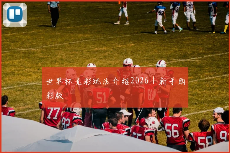 世界杯竞彩玩法介绍2026｜新手购彩版