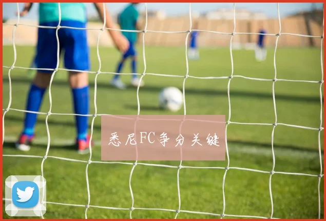 悉尼FC争分关键