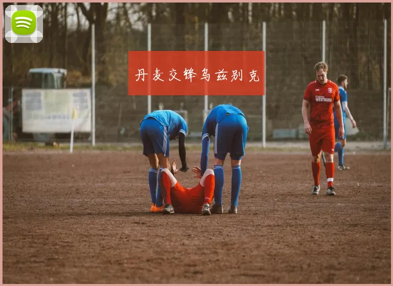 丹麦交锋乌兹别克