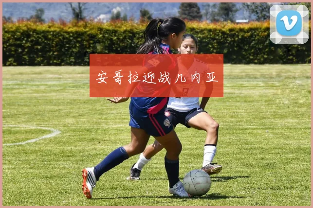 安哥拉迎战几内亚