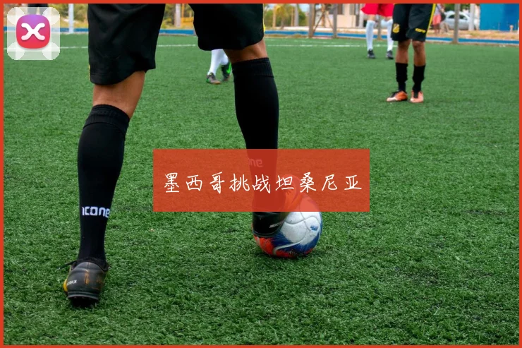 墨西哥挑战坦桑尼亚