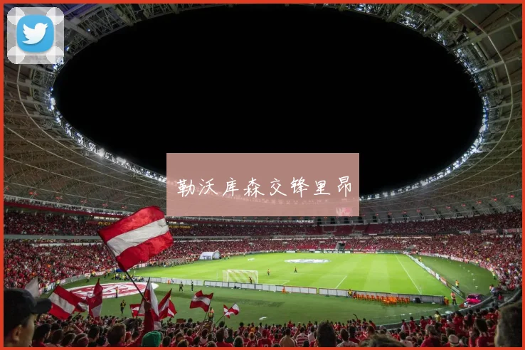 勒沃库森交锋里昂
