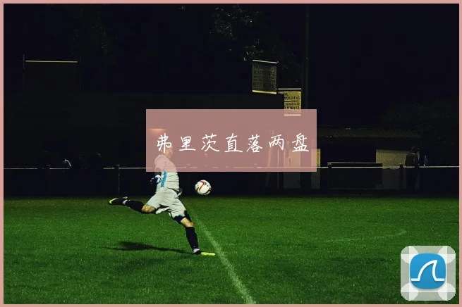 弗里茨直落两盘